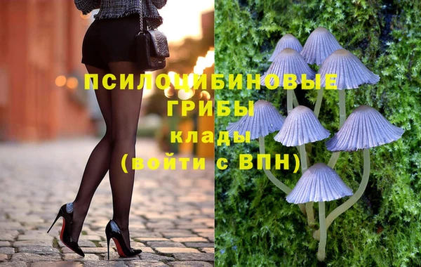 скорость mdpv Белокуриха