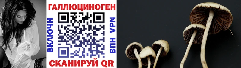 Галлюциногенные грибы MAGIC MUSHROOMS  что такое наркотик  Железногорск-Илимский 