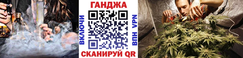 где продают   Железногорск-Илимский  Канабис сатива 